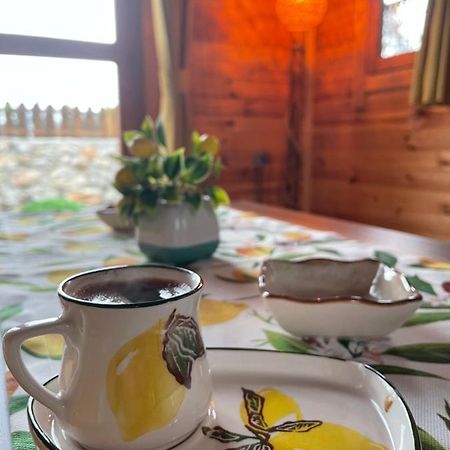 Andizalti Doga Evleri Limon Ev Datca 빌라 외부 사진
