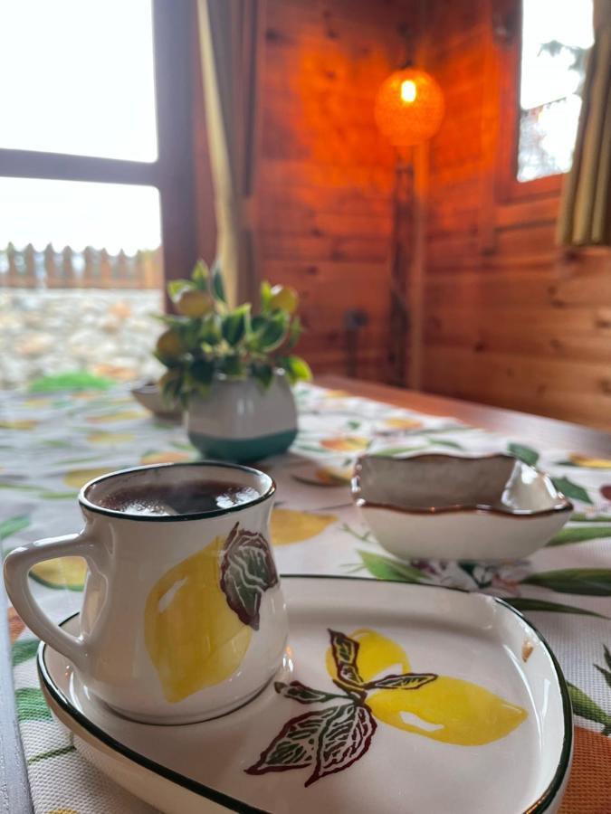 Andizalti Doga Evleri Limon Ev Datca 빌라 외부 사진